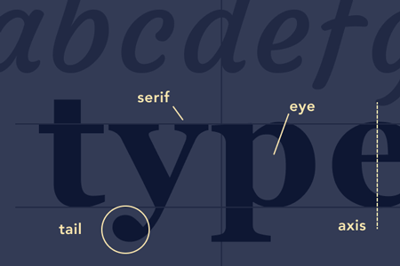 Learn Typography Banner